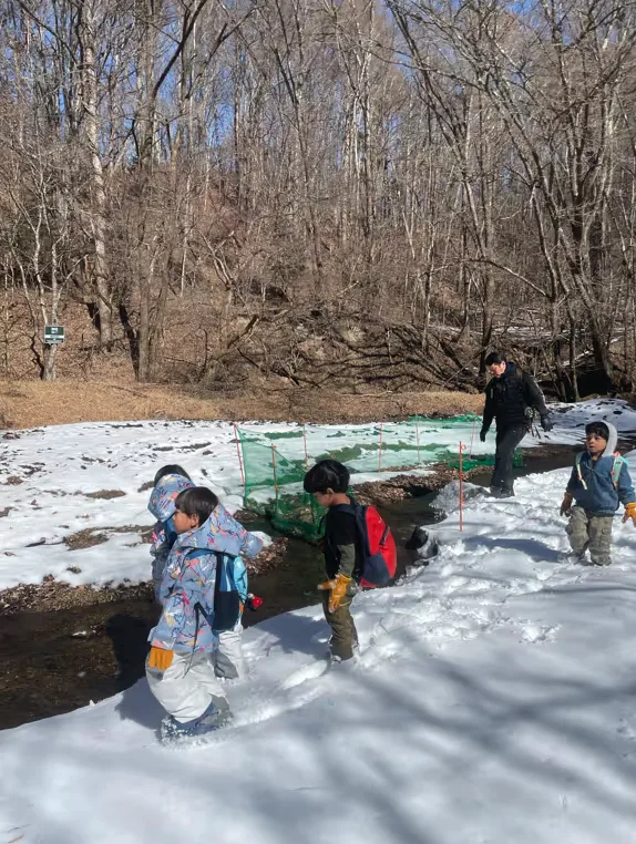 Forest Exploration Experiences