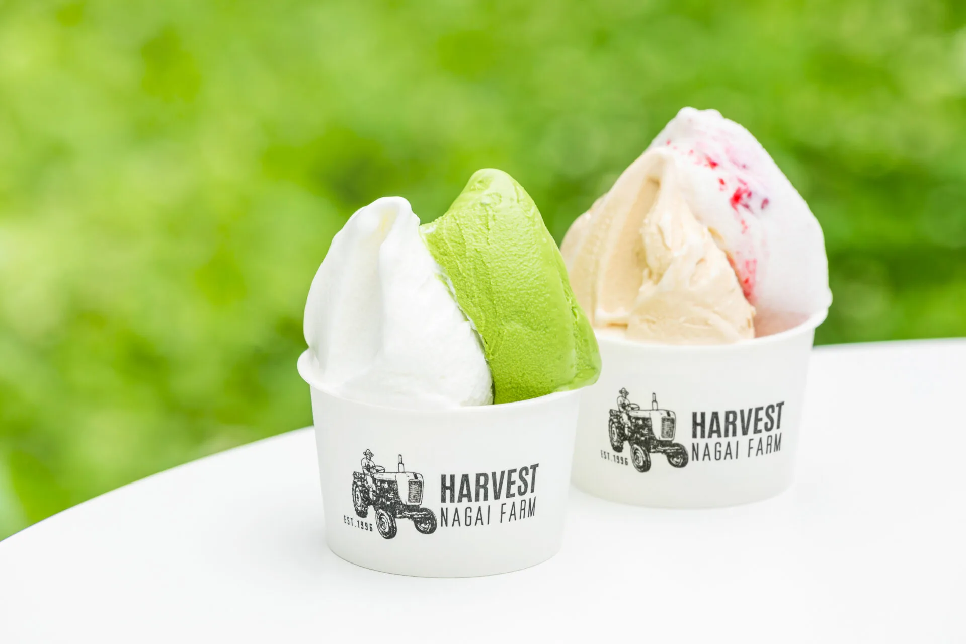 Harvest Nagai Farm