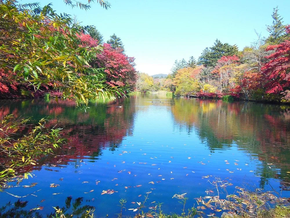 Kumoba Pond Morning Walk
