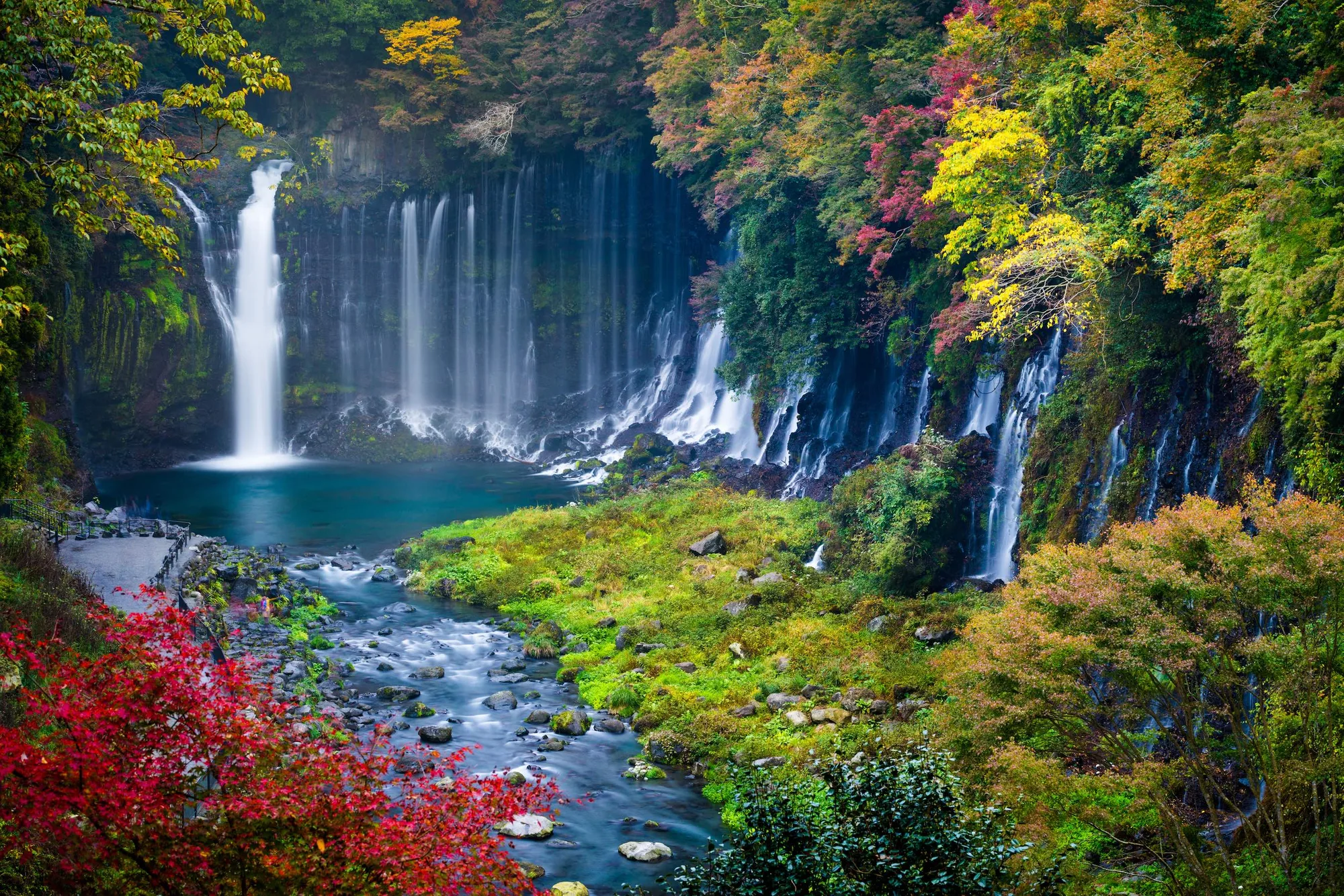 Shiraito Falls Nature Visit