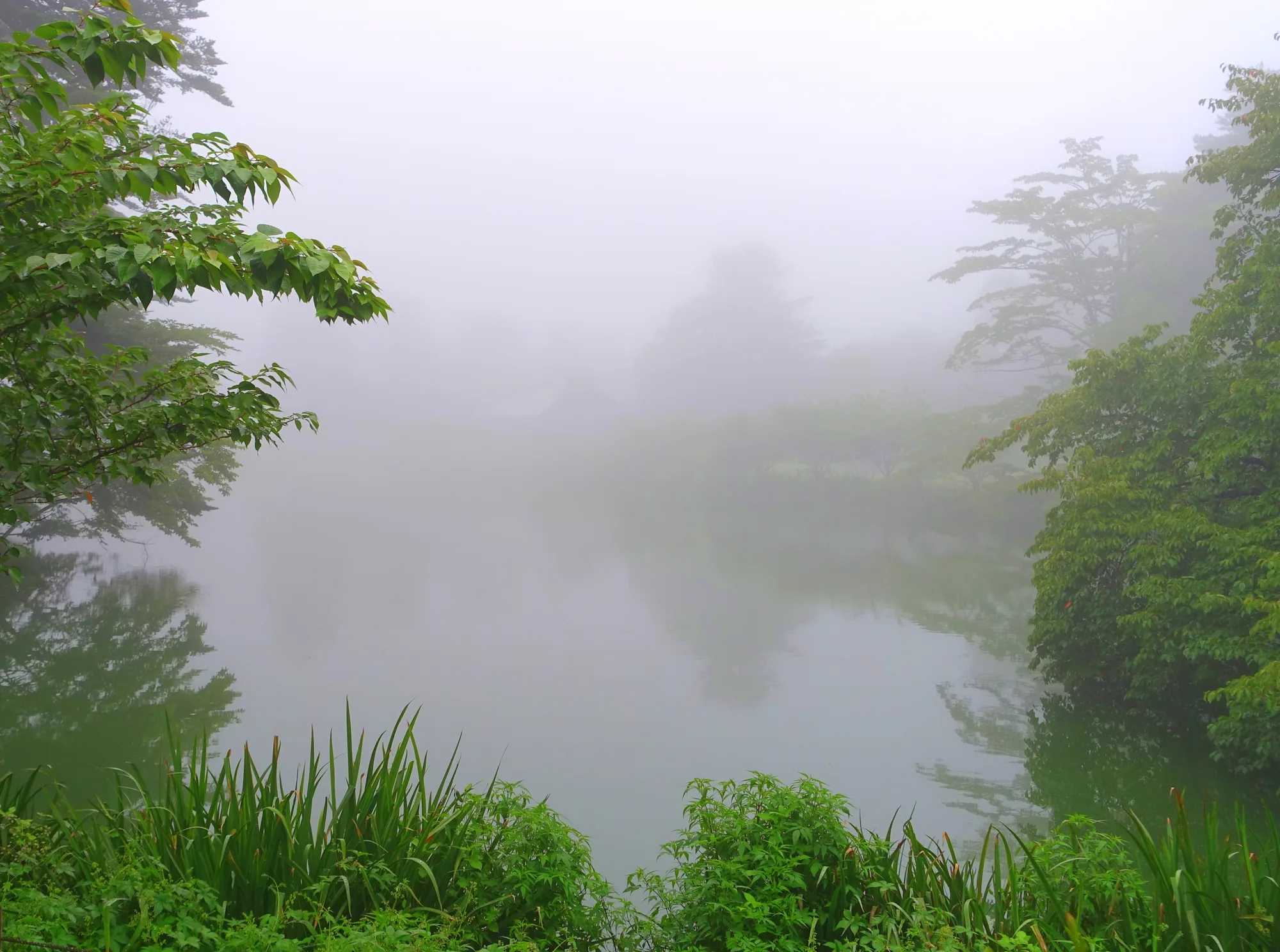 Karuizawa Wild Bird Sanctuary