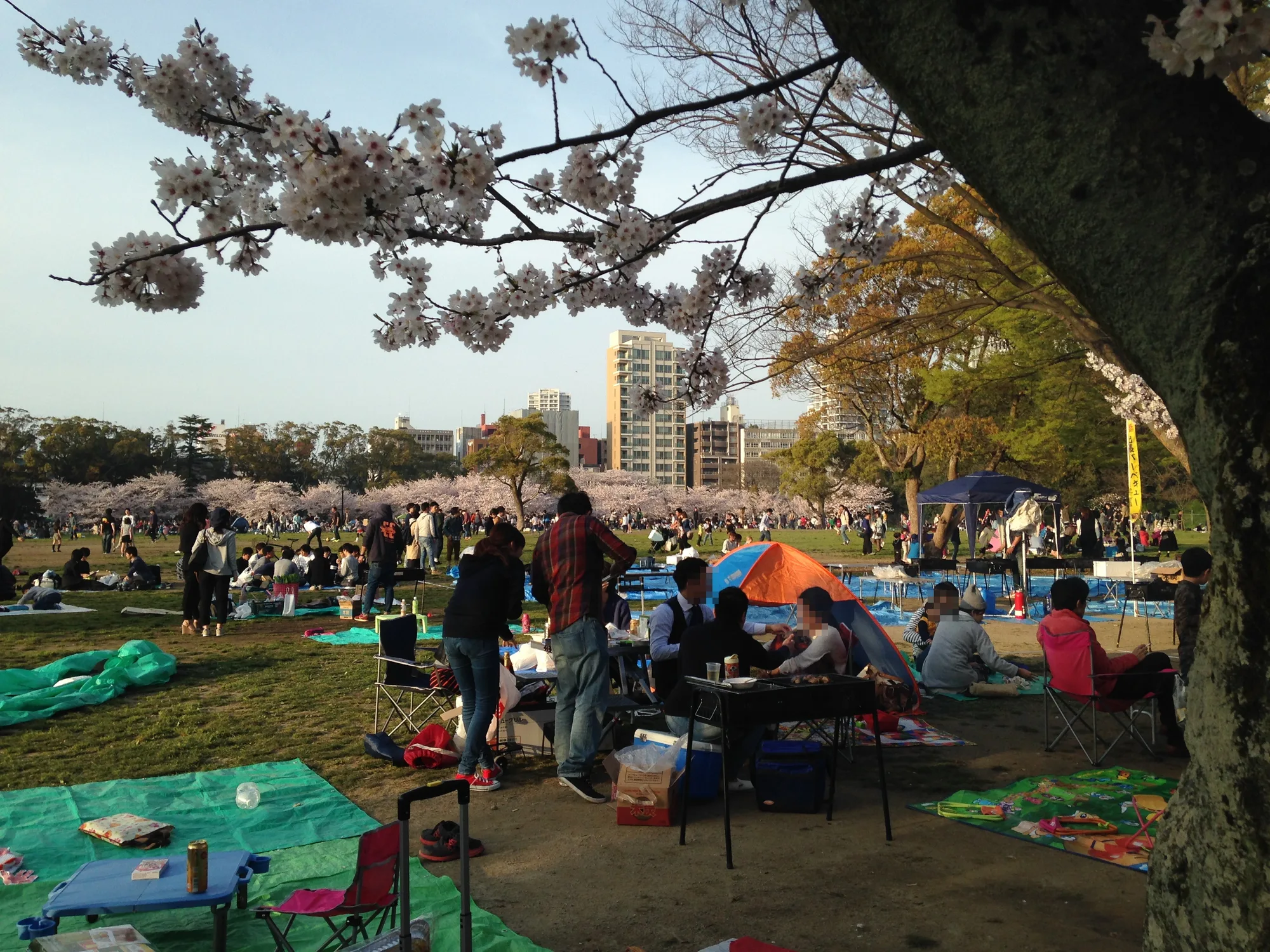 Spring Illumination Event at Ohori Park