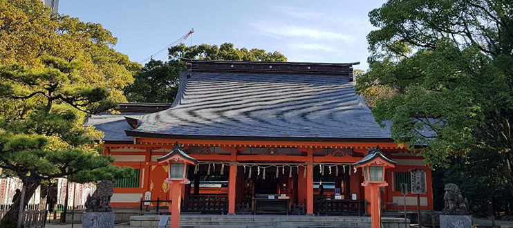 Tour of Shrines and Temples