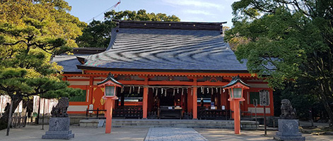 Tour of Shrines and Temples