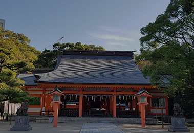 Tour of Shrines and Temples